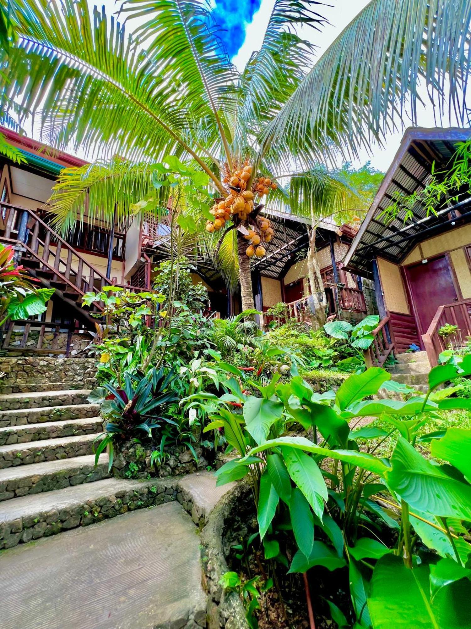 Novie'S Tourist Inn El Nido Exterior foto